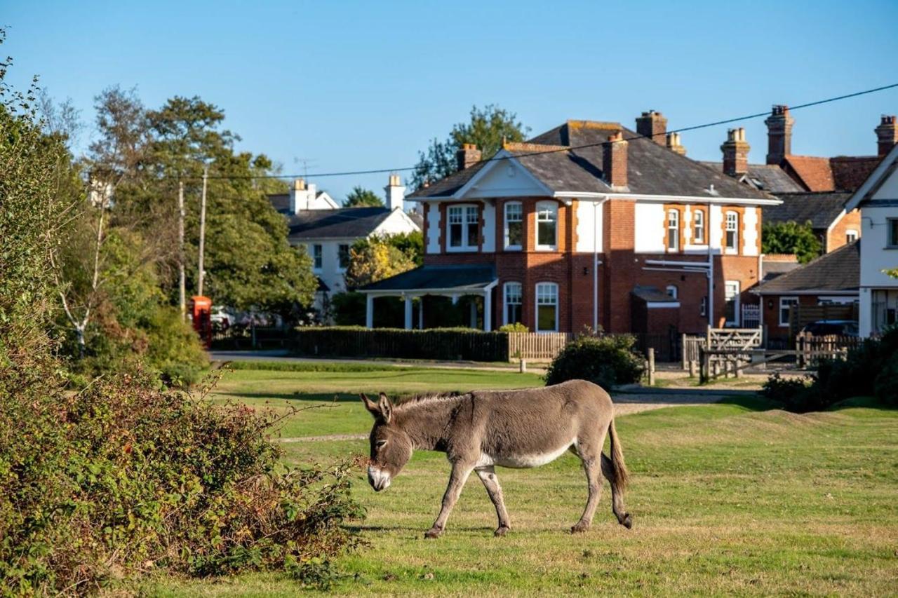 Surrey Lodge Brockenhurst Exterior photo