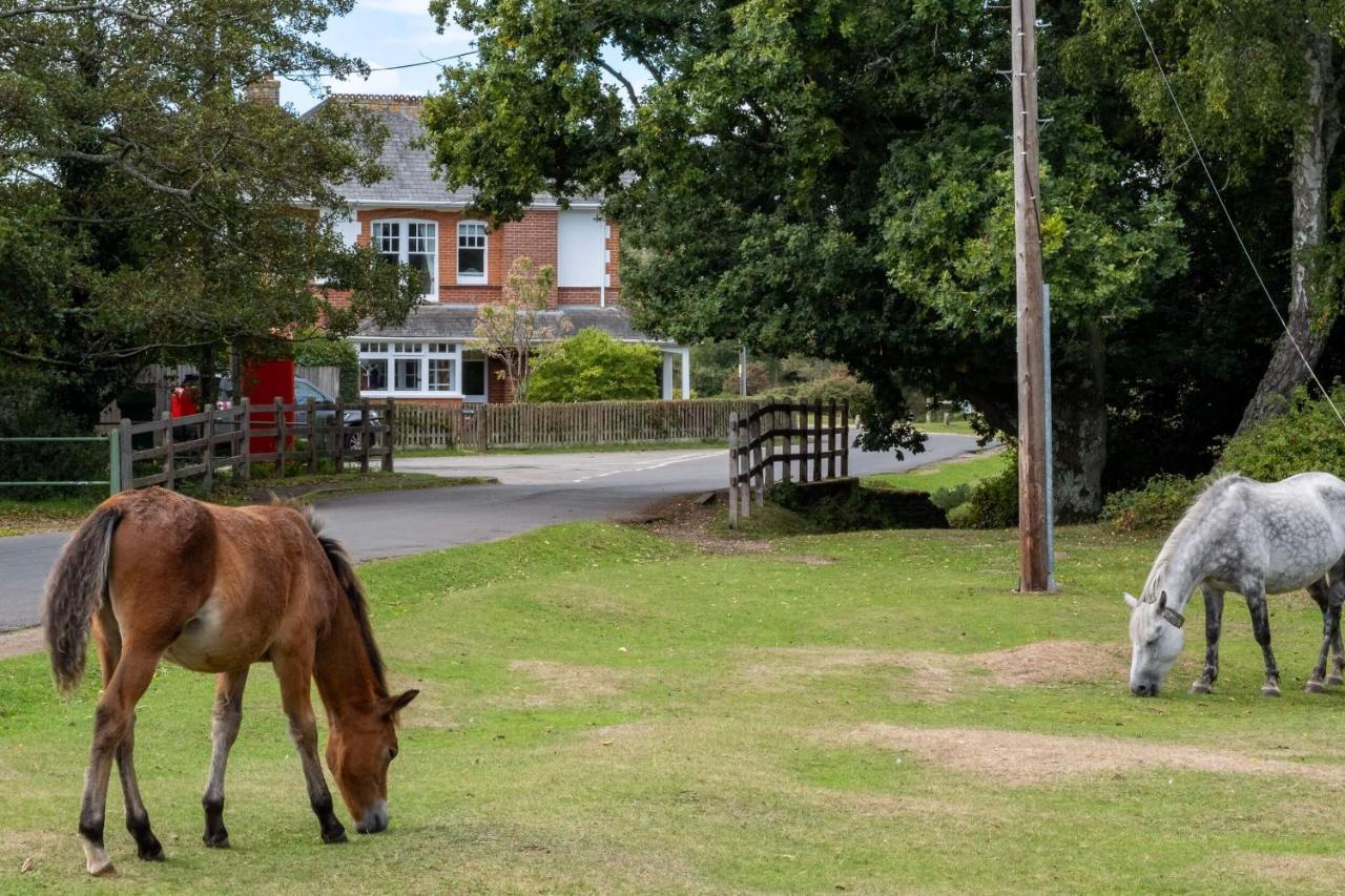 Surrey Lodge Brockenhurst Exterior photo